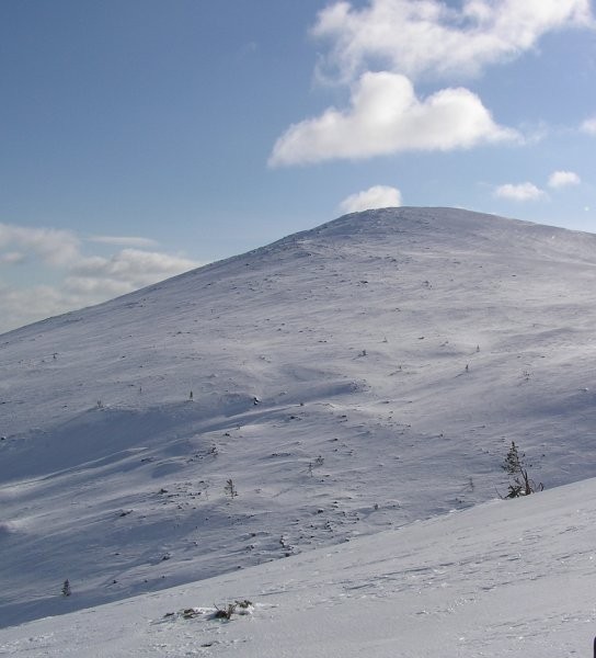 Click for the original image